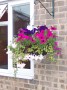 front hanging basket * 1524 x 2032 * (557KB)